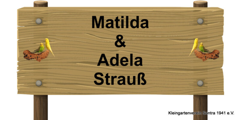 Matilda
&
Adela
Strauß